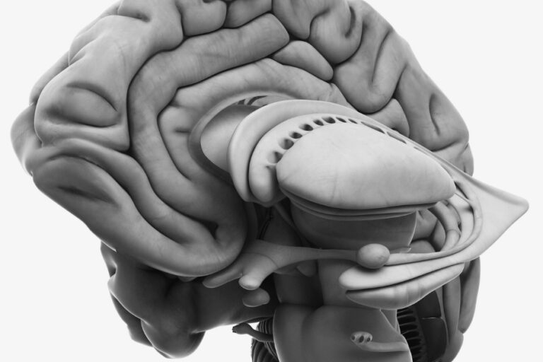 6° Corso pratico di traumatologia cranio-cervicale